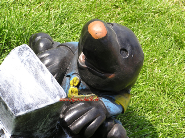 Maulwurf am Computer