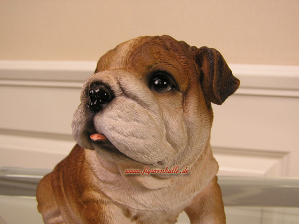 Englische Bulldogge Fan Deko