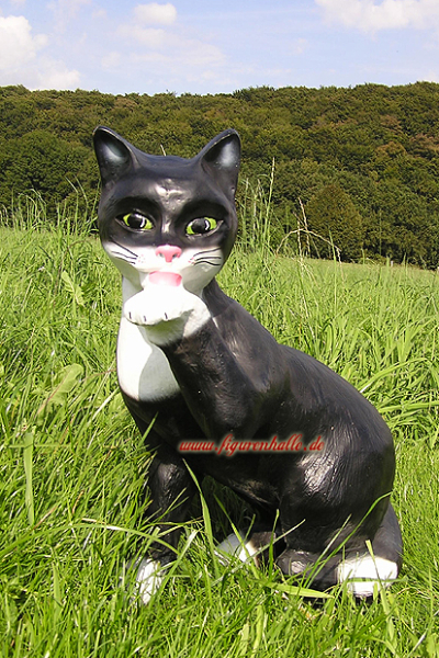 Black cat sitting Buy