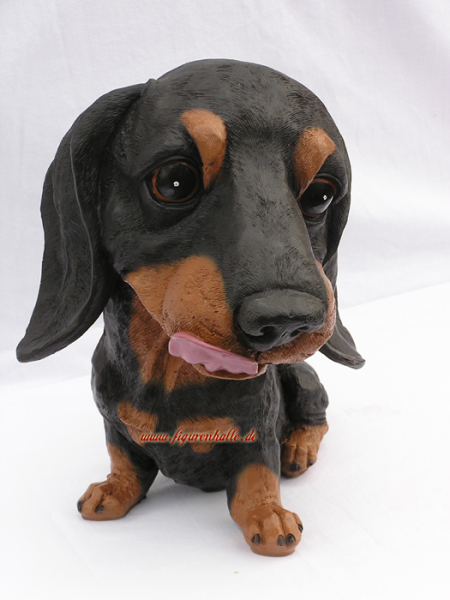 Großkopf Hund Dobermann