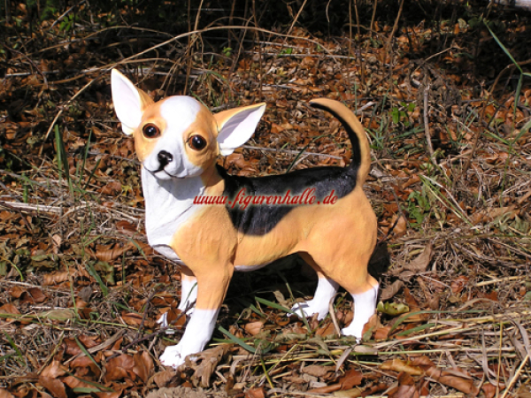 Chihuahua kurzhaarig Figur Tierfigur