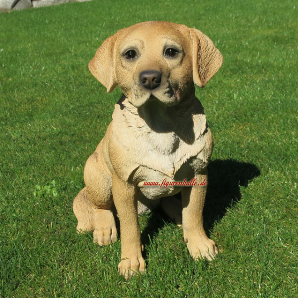 Labrador Retriever beige Figur