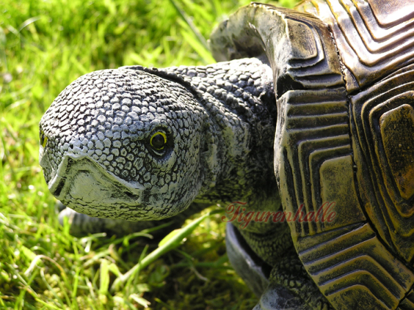 Shell turtle garden pond figurine