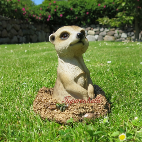 Erdmännchen Figur