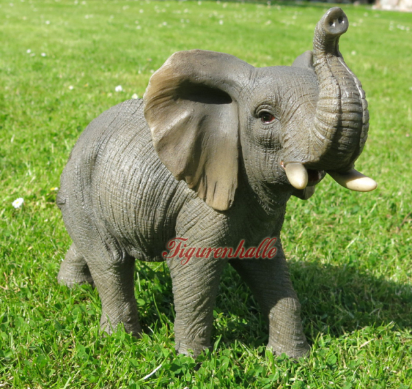 Elefant