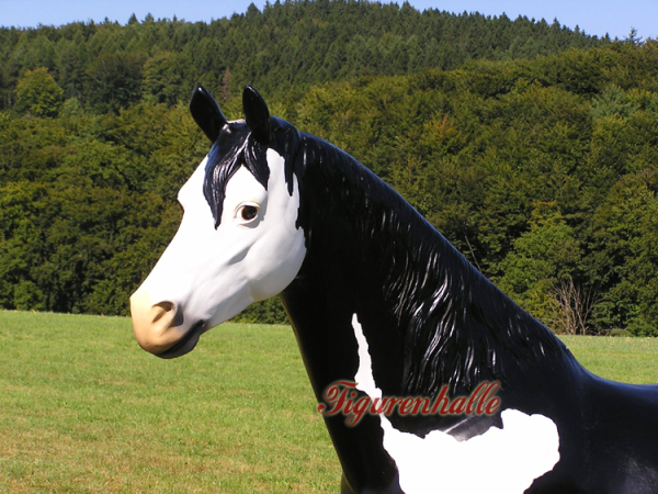 Western Quarter Horses Decoration