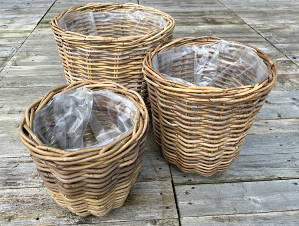 Pflanzkorb aus Rattan im 3er Set