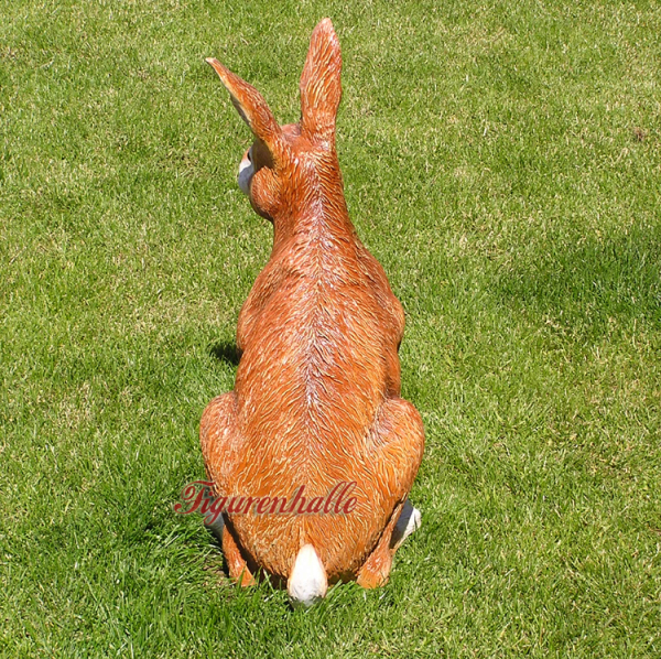 Brown hare on the run