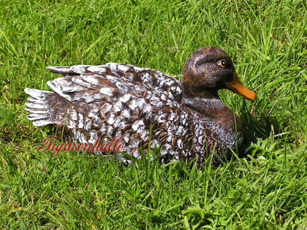 Garden pond duck
