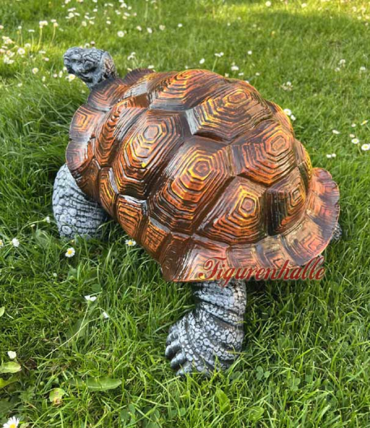 Garten Schildkröte Rasen