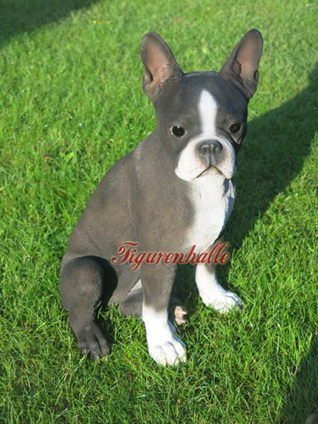 Decoration and fan figure