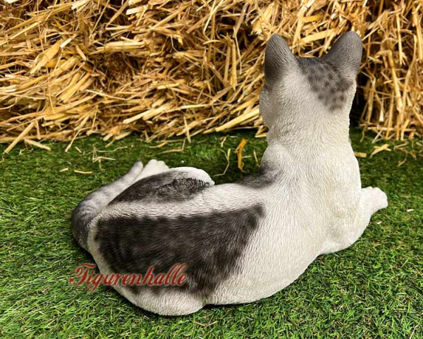 Liegende Katze Kopfhoch