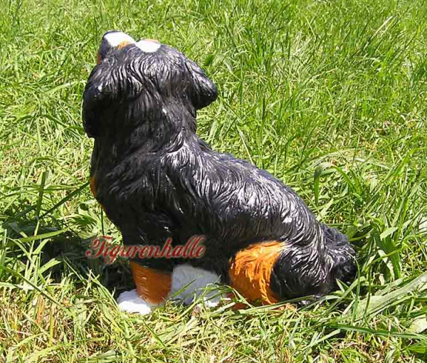 Australian Shepherd Fan Dekoration