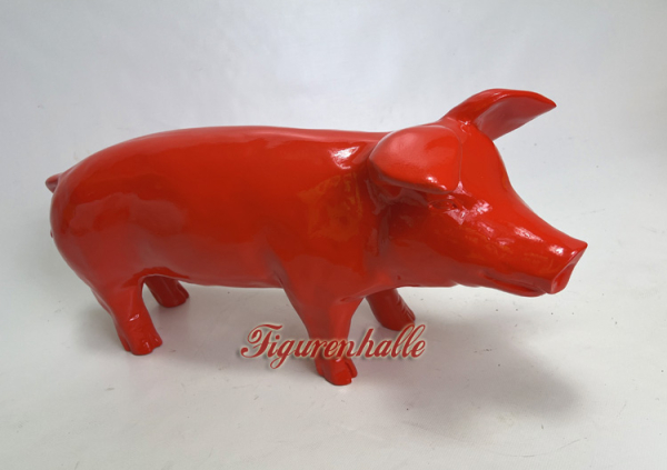 Schwein in Rot