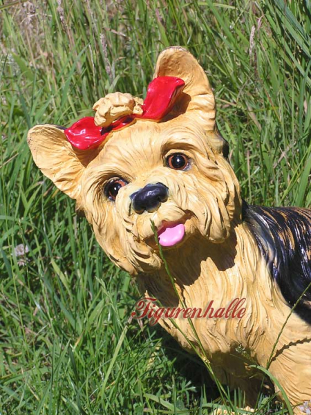 Yorkshire Terrier Figur lebensgroß