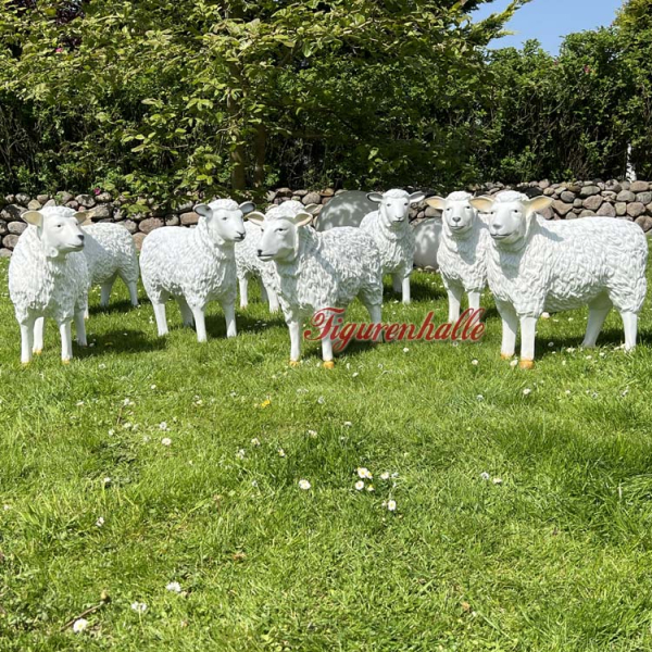 Flock of sheep as a sheep figure