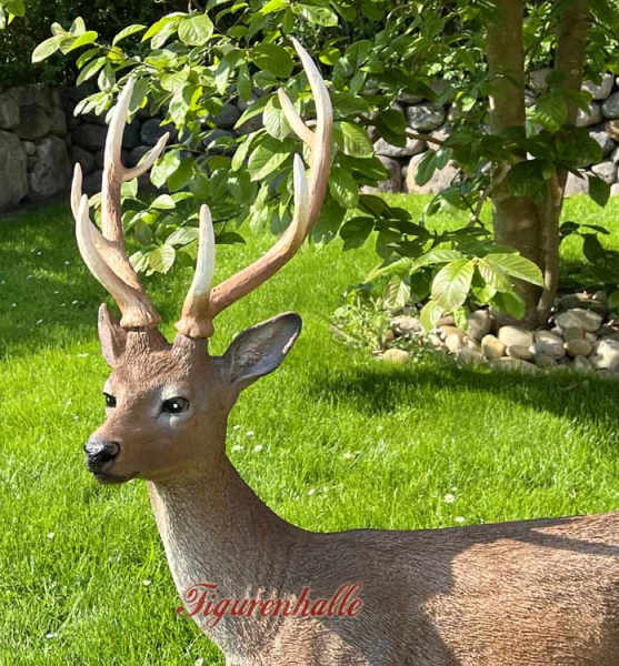 Deer decoration