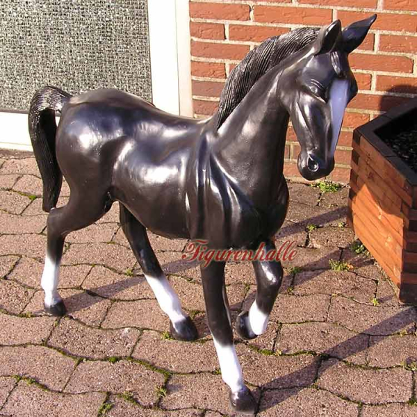 Pferd Hängst Dressurreiten