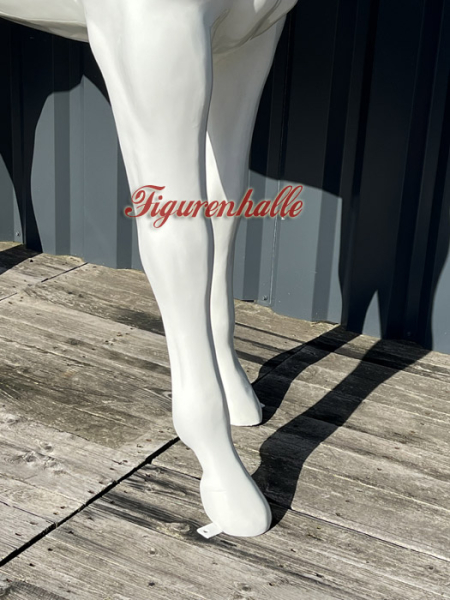 Hufe vom Einhorn Schamane