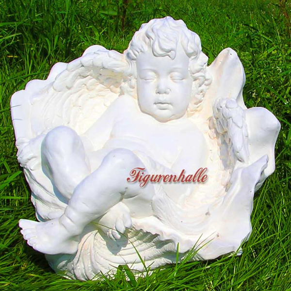 Engel in Muschel