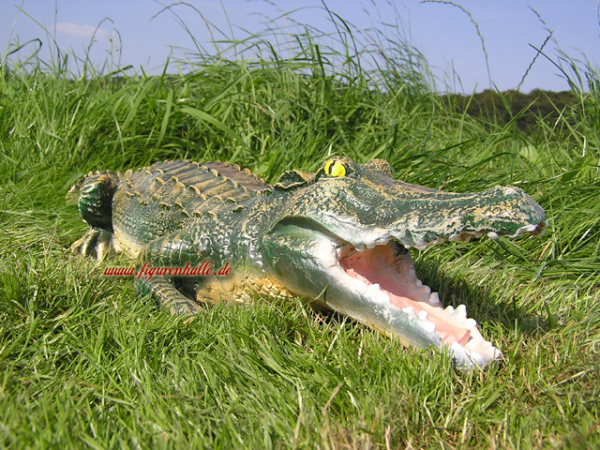 Krokodil Gartenfigur