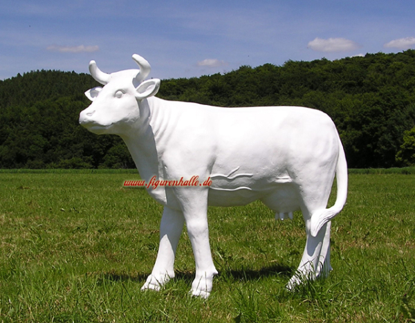 Kuh komplett weiß