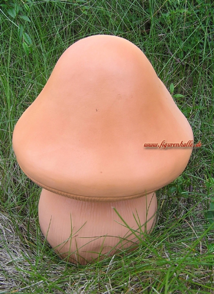 Laughing mushroom