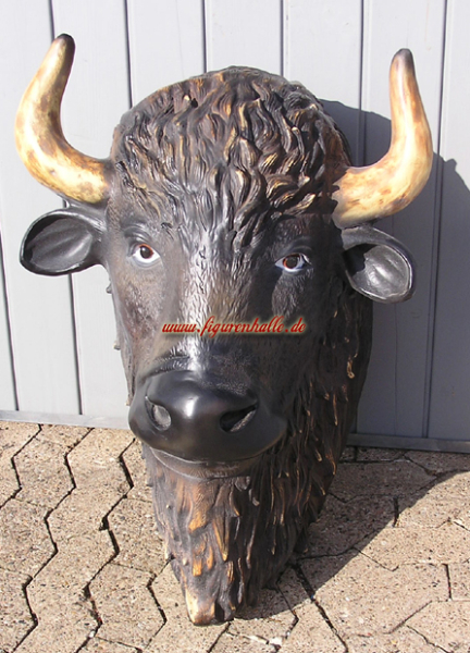 Büffel Kopf  Trophäe