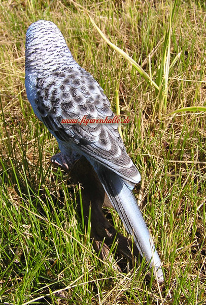 Budgerigar Fan Article