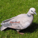 Taube Ringeltaube Dekofigur