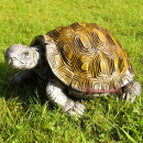 Schildkröte Gartenfigur