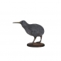 Preview: Wild bird kiwis