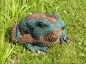 Preview: Amphibians figures