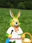 Preview: Easter Hare Outdoor Decoration