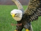 Preview: Bird of prey statue