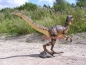 Preview: Velociraptor Deko Aufstellfigur Dino