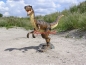 Preview: Tyrannosaurus Rex advertising figure