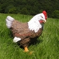 Preview: Huhn Figur