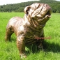 Preview: Englische Bulldogge als Aufstellfigur Tierfigur