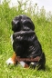 Preview: Berner Sennenhund Figur