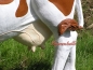 Preview: Kuh Aufstellfigur lebensecht Figur