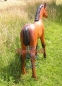 Preview: Decorative foal for the garden as a figure