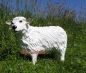 Preview: Sheep figure