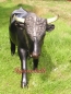 Preview: Stier Figur