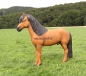 Preview: Pony Pferd lebansgroß