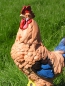 Preview: Chicken figure