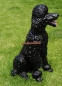 Preview: King poodle decorative figure