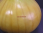 Preview: Onion advertising display