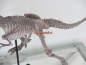 Preview: Dinosaur decorative figure