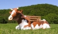Preview: Cow bench